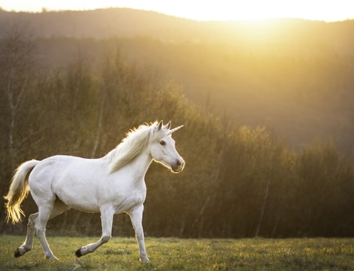 Today’s Seattle Real Estate Market: The ‘Unicorns’ Have Galloped Off